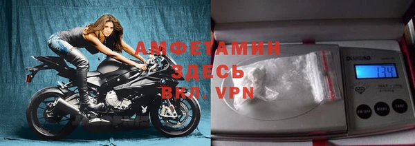 индика Нязепетровск
