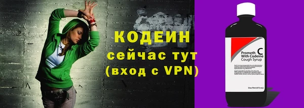 индика Нязепетровск