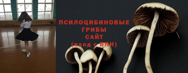 индика Нязепетровск