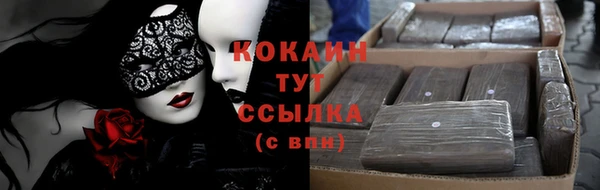 индика Нязепетровск