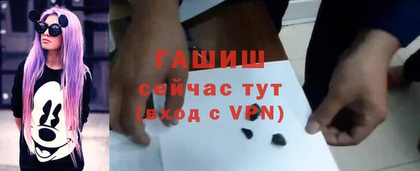 гашик Осинники