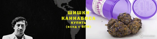 гашик Осинники