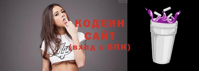 индика Нязепетровск