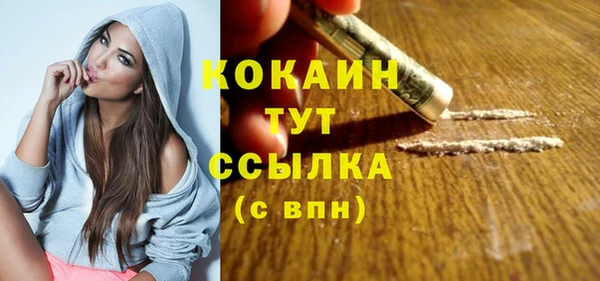 индика Нязепетровск