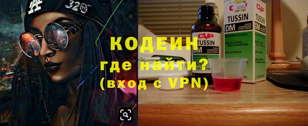 индика Нязепетровск