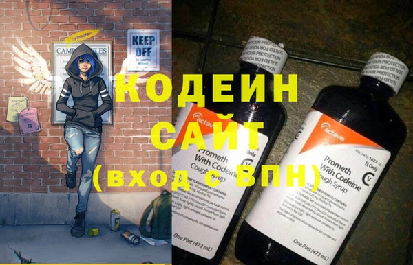 индика Нязепетровск