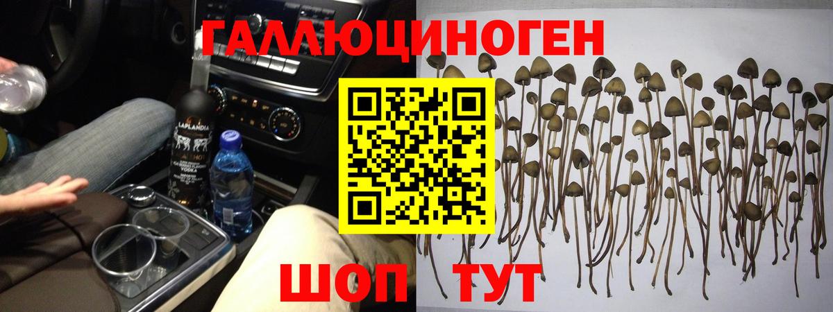 Псилоцибиновые грибы мухоморы  Галлюциногенные грибы GOLDEN TEACHER  Зеленокумск 