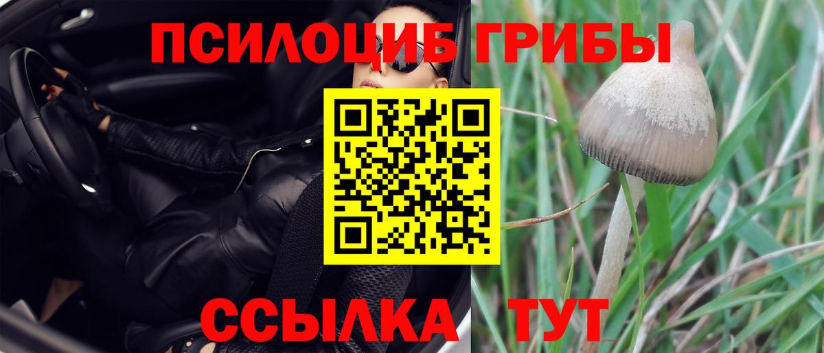 Зеленокумск  Псилоцибиновые грибы мицелий  Вход с VPN 